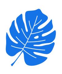 Tapetownia.com