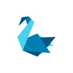 No Swan Origami Marcin Szlęzak