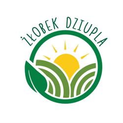 Żłobek Dziupla