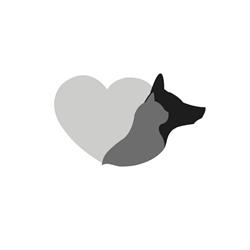 Animal Cardio