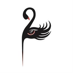 Black Swan Salon Kosmetyczny