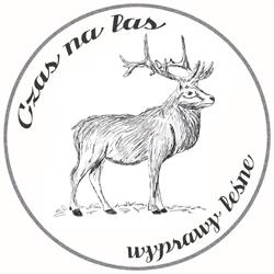 Czas na las - wyprawy leśne