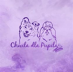 Chwila dla Pupila