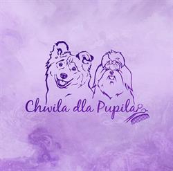 Chwila dla Pupila