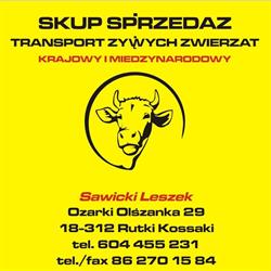 Sawicki Leszek transport zwierząt między narodowy i krajowy skup i sprzedaż cięląt