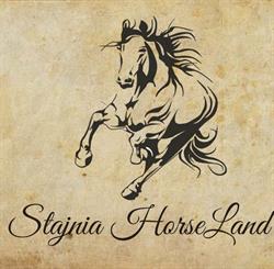 Stajnia HorseLand