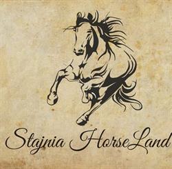 Stajnia HorseLand