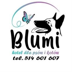 BLUMI Hotel dla psów i kotów. Profesjonalne szkolenie psów.