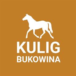 Kuligi Bukowina Tatrzańska - Andrzej Mąka