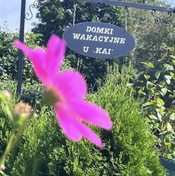 Domki wakacyjne "u Kai" w Stegnie