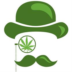 Dr Ziółko - Cannabis Shop Cracow