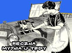 Ręczna Myjnia u Tedy