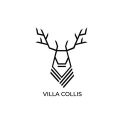 Villa Collis