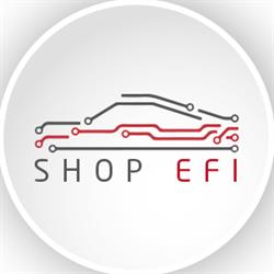 QVstore.pl dawniej (shopEFI)