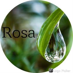 Rosa Studio Florystyczne