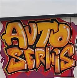 Auto Serwis Dobczyn