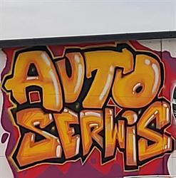 Auto Serwis Dobczyn