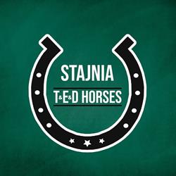 TED Horses