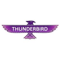 THUNDERBIRD - Burgerownia UFO