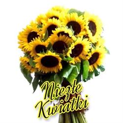 Kwiaciarnia Niezłe Kwiatki