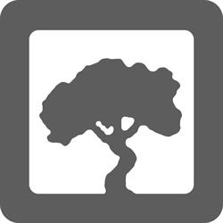 ekoartprojekt - projektowanie i zakładanie ogrodów Kraków