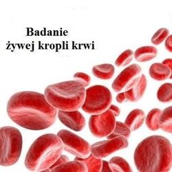 Badanie żywej kropli krwi