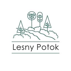przedszkole leśny potok