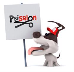 Psi Salon