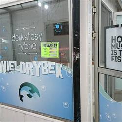 Wielorybek