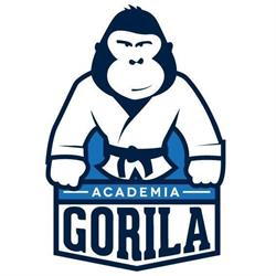 Academia Gorila Bielsko-Biała