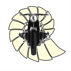 Jurassic Moto Center Rental