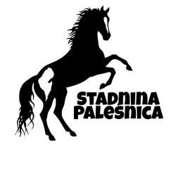 Stadnina Paleśnica