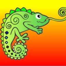 Cameleon odzież używana Myślenice