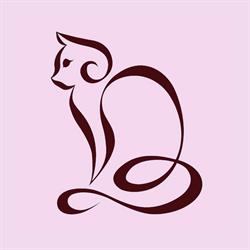 Lady Kitty - Studio Kosmetologii i Masażu