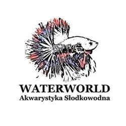 Waterworld akwarystyka słodkowodna