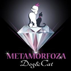 Psi salon Piotrków Metamorfoza Dog&Cat