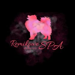 Remikowe Spa dla kota i psa