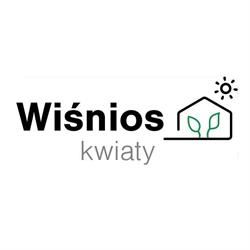 WIŚNIOS Kwiaty