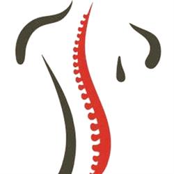 Terapia Manualna Fizjoterapia Osteopatia "Między Kręgami" dr n. kf. Maciej Olesiejuk