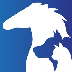 Pet Wellness Place - fryzjer psów i kotów, behawiorysta.