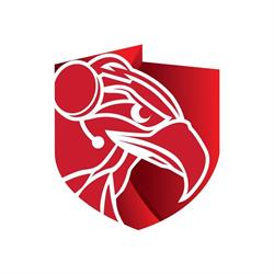 Polska Liga Esportowa