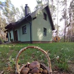 Lawendowa Przystań Perkowo