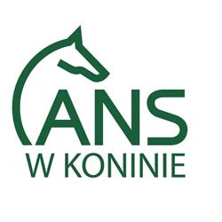 Akademia Nauk Stosowanych w Koninie