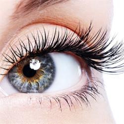 Siva Lashes & Make up