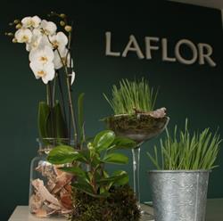 La Flor. Kwiaciarnia