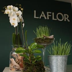 La Flor. Kwiaciarnia