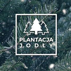 Sprzedaż choinek - plantacjajodly.pl