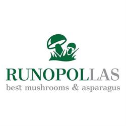 RUNOPOLLAS
