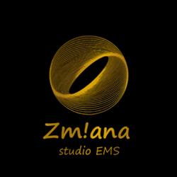 Studio Zmiana. Studio Treningu EMS