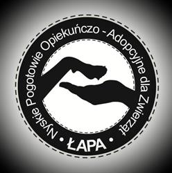 Nyskie Pogotowie Opiekuńczo Adopcyjne Dla Zwierząt Łapa